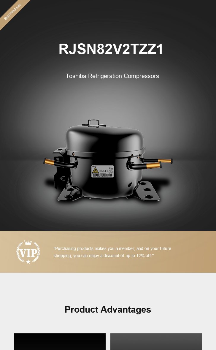 Toshiba Compressor RJSN82V2TZZ1, technical parameters pdf, structure diagram